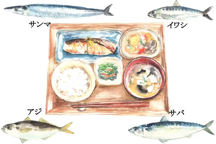 血圧と血糖値をコントロール:一汁三菜、青魚