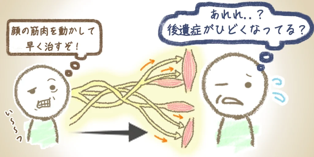 意識的に筋肉を動かすことで神経の再生スピードは速くなるが、無理に動かすことで迷入再生を招きやすい図
